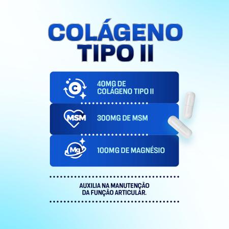 Imagem de Kit 3x Colágeno Tipo 2 Não Desnaturado Magnésio E MSM 3x1 - 180 Cápsulas - Denavita