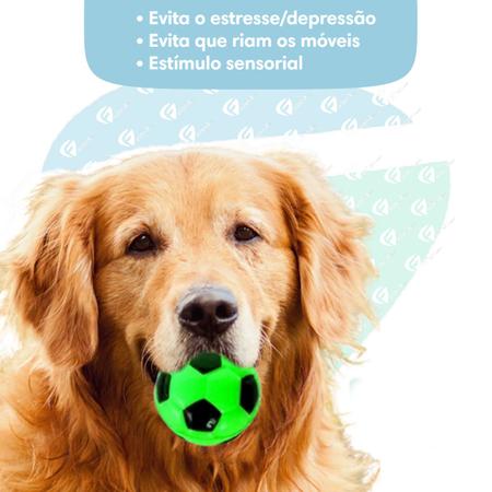 Imagem de Kit 6 Bolinhas Anti Stress Futebol Mordedor Pet Cachorro