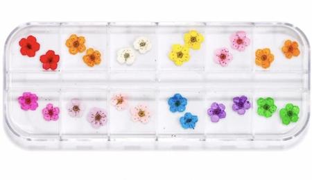 Imagem de Kit 6 Flores Seca Encapsulamento Decoração Unha Atacado Nail