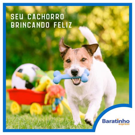 Imagem de Kit 6 Mordedores Brinquedo Sortido Anti Stress P/ Cachorros