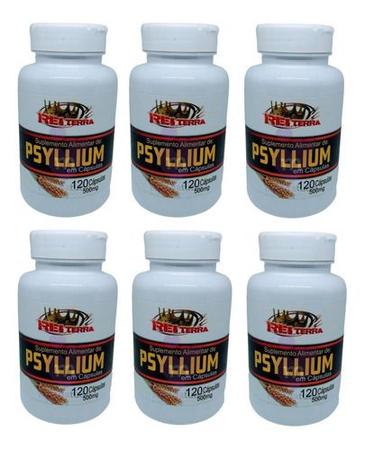 Imagem de Kit 6 Psyllium 500mg 120 Cápsulas - Rei Terra