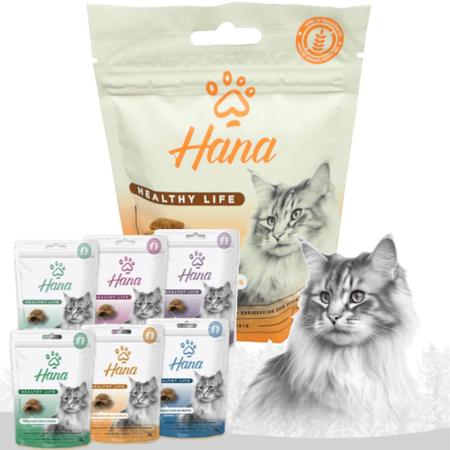 Imagem de kit 6 Snacks Hana Healthy Life Hairball Control P/ Gatos Adultos- 60g