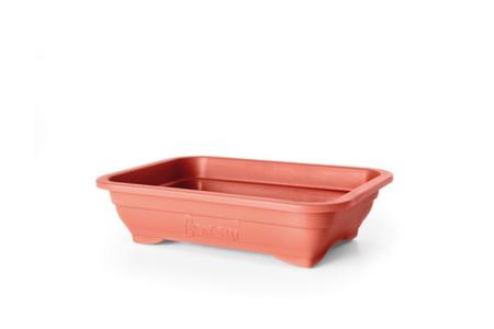 Kit 6 unidades Vaso bonsai n 3 cerâmica humus fertil Imagem de Kit 6 unidades Vaso bonsai n 3 cerâmica humus fertil