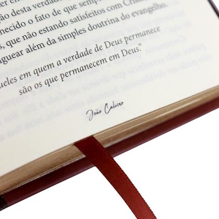 Kit Bíblia Sagrada Capa Dura NVI Leão De Judá C/ Devocional Diário Palavra  De Deus 365 Dias Calvino - Bíblia - Magazine Luiza