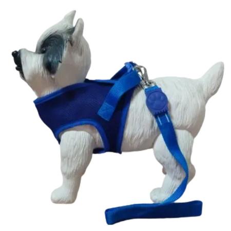 Kit Boné E Coleira Para Cães - Colete E Boné Aerado ul G - Nicapet Imagem de Kit Boné E Coleira Para Cães - Colete E Boné Aerado ul G