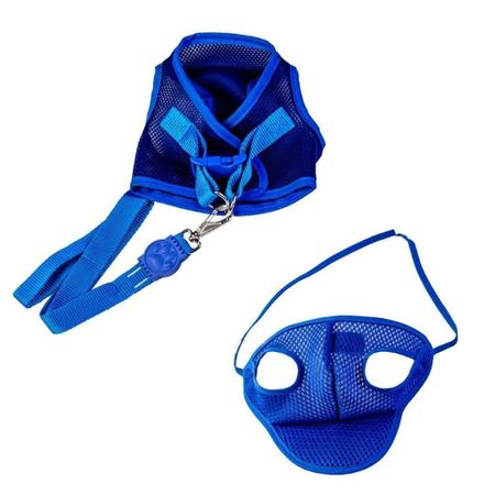 Kit Boné E Coleira Para Cães - Colete E Boné Aerado ul G - Nicapet Imagem de Kit Boné E Coleira Para Cães - Colete E Boné Aerado ul G