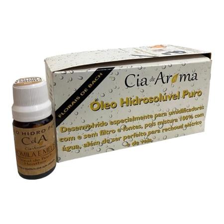 Imagem de Kit Box 10 Óleos Hidrossolúvel 10Ml - Escolha O Seu Aroma