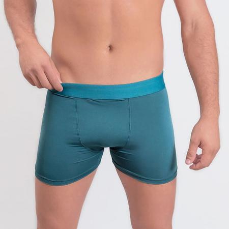 Imagem de Kit C/10 Cuecas Boxer Wear Microfibra Lisa Masculino Revenda