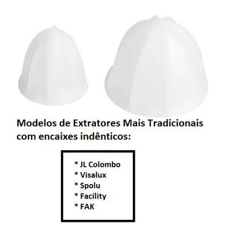 Imagem de kit Carambola Castanha Laranja e Limão Espremedor Industrial