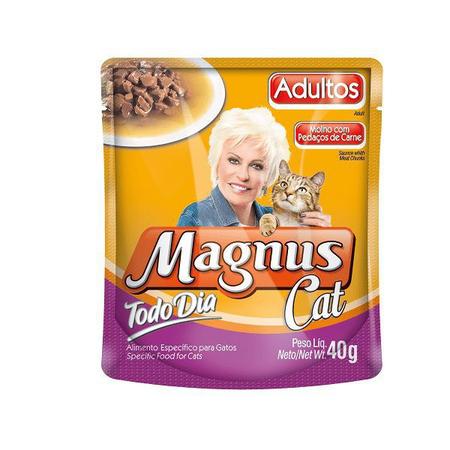 Imagem de Kit com 10 sache magnus cat todo dia carne 40g