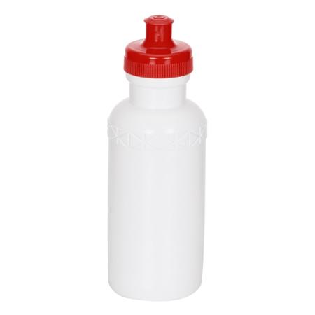 Imagem de Kit com 10 Squeeze Plástico 500ml