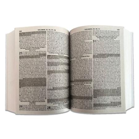 Imagem de Kit Com 20 Biblias Leão Pequena Para Evangelismo 9X13 cm