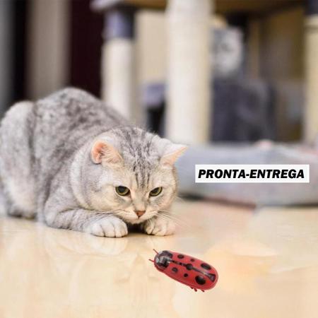 Imagem de KIT com 3 Brinquedos BOLA COBRA JOANINHA Interativos Gato Usb Recarregavel Caes Cachorro PET