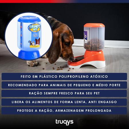Imagem de Kit Conjunto Comedouro Bebedouro para Cachorros Gatos Galão Automático e Bandeja Anti Formigas