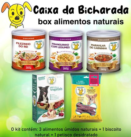 Caixa Sachê Purina Dog Chow Adulto Todos Tamanhos Carne 100g - Outros Pets  - Magazine Luiza