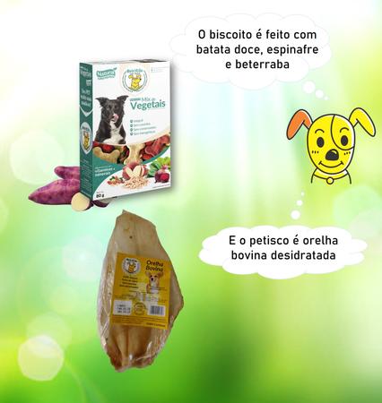 Caixa Sachê Purina Dog Chow Adulto Todos Tamanhos Carne 100g - Outros Pets  - Magazine Luiza