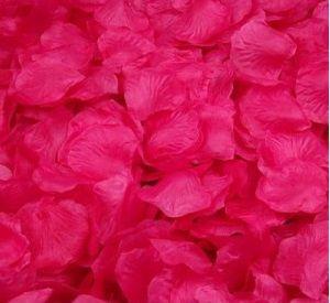 Imagem de Kit de Pétalas Artificiais Pink - 1000 pétalas