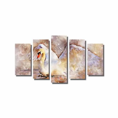 Imagem de Kit De Quadros Decorativos Lindo Cisne Branco Na Água