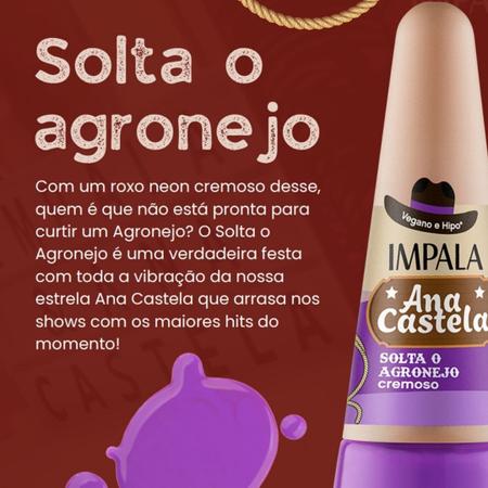 Imagem de Kit Esmaltes Ana Castela A Boiadeira Coleção c/10 Cores Lançamento