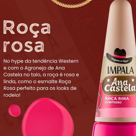 Imagem de Kit Esmaltes Ana Castela A Boiadeira Coleção c/10 Cores Lançamento