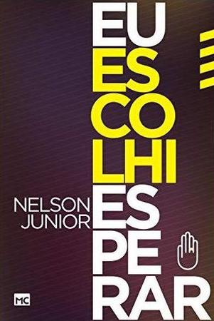 Livro Desesperar, Thayse Portela, O Guia Prático Para Esperar A Pessoa  Certa Sem Desespero, Editora Vida