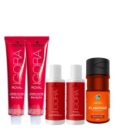 Kit Schwarzkopf Igora Royal HD 9.7 e Água Oxigenada Igora 30vol 60Ml -  Salão de Beleza - Magazine Luiza