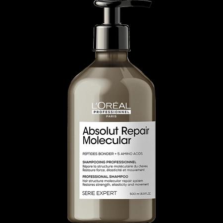 Imagem de Kit Loreal Absolut Repair Molecular Shampoo 500ml, Leave-in 100ml