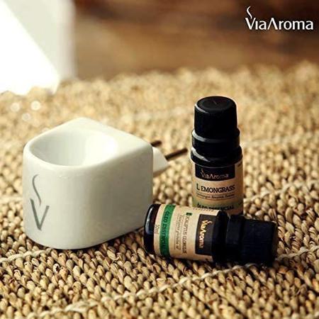 Imagem de Kit Óleos Essenciais - As melhores fragrâncias Para Difusor, Umidificador, Massagem e Aromaterapia - Alecrim, Menta e Be