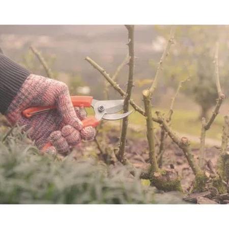 Imagem de Kit para Jardinagem Tramontina 2 Peças Tesoura de Poda e Tesoura para Cerca Viva com Cabo de Madeira