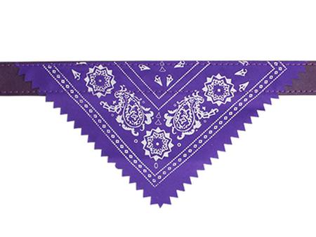 Imagem de Kit Para Pets Com Guia Retrátil Azul Com Coleira Bandana Roxa Pequena