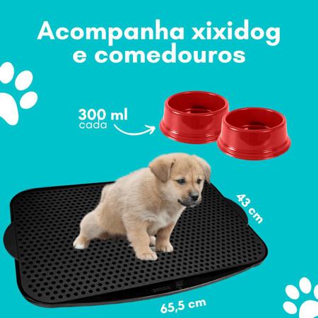 Qual cachorro é o verdadeiro??? 