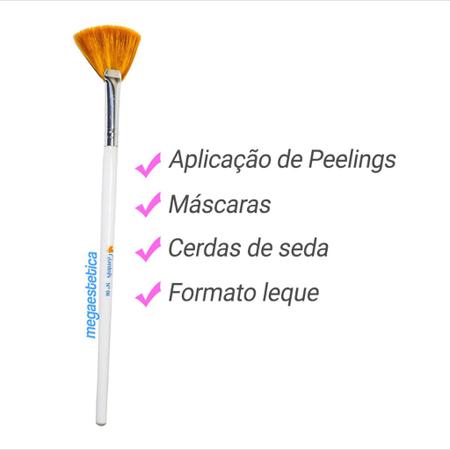 Imagem de Kit Pincéis Estética 06, 18 Cerdas Seda e Cubeta de Porcelana - Ácidos Peelings Máscaras