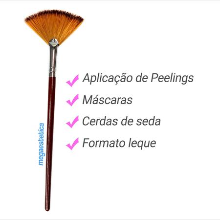 Imagem de Kit Pincéis Estética Seda 06, 02 Peelings, Ácidos, Emolientes e 18 Argilas, Máscaras - Cubeta Panelinha