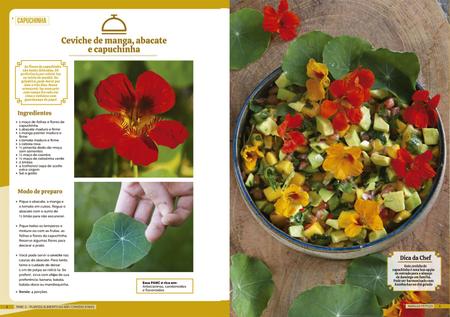 Imagem de Kit - Plantas Alimentícias Não Convencionais - 2 Livro