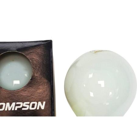 Imagem de Lampada Colorida Thompson 15Wx127V. Leitosa - Kit C/10 Pecas