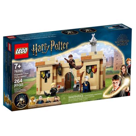 Lego Harry Potter Primeira Aula De Voo 76395 264 Peças - Brinquedos de  Montar e Desmontar - Magazine Luiza