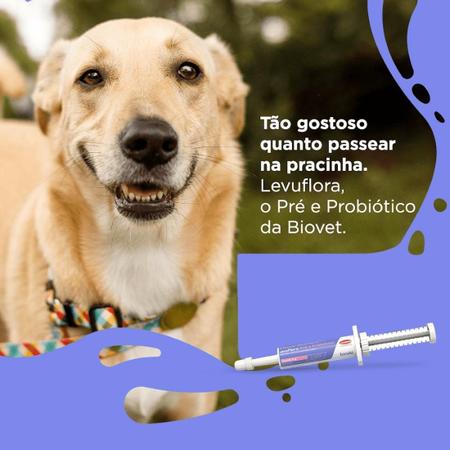 Imagem de Levuflora Pré E Probiótico 14G Cães E Gatos Sabor Carne