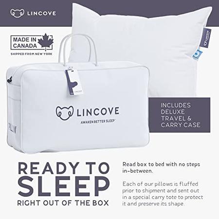 Imagem de Lincove Cloud Natural Canadian White Down Almofada de Luxo para Dormir - 625 Fill Power, 500 Thread Count 100% Cotton Shell, Made in Canada, Standard - Soft, 1 Pack