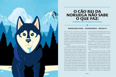 Pra entender a Noruega – história, viagens e livros