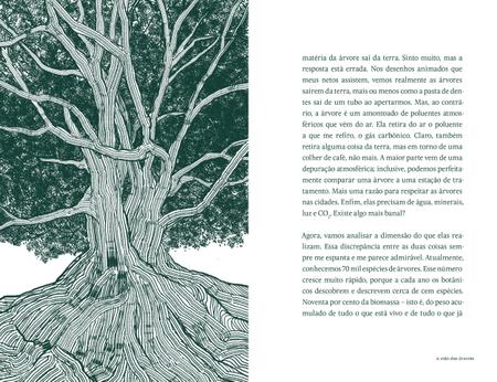 Imagem de Livro - A vida das árvores