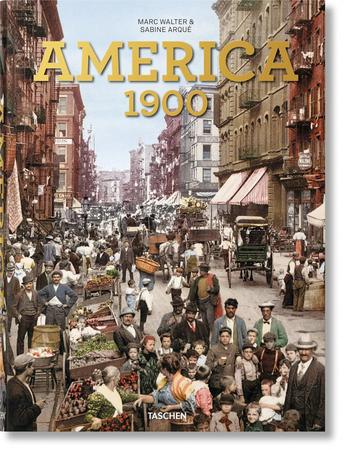 Imagem de Livro - America 1900