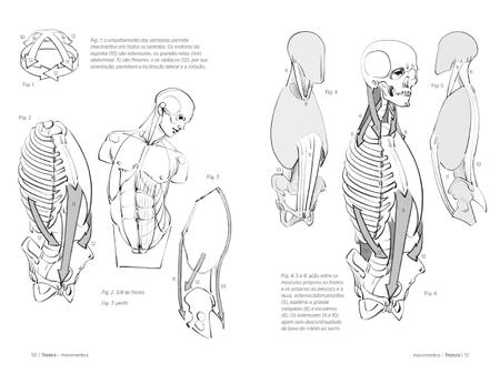 Anatomía Artística 5 GG