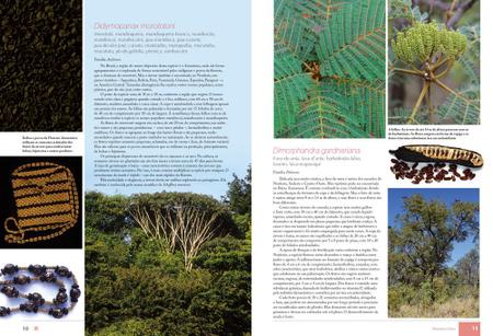 Imagem de Livro - Árvores Nativas do Brasil - Volume 2