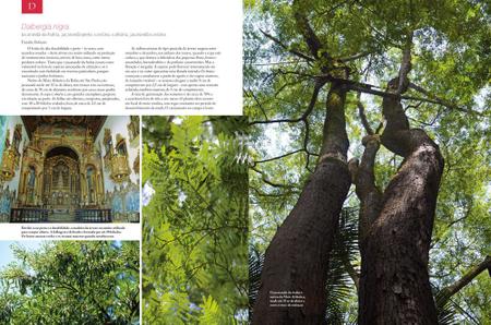 Imagem de Livro - Árvores Nativas do Brasil - Volume 2