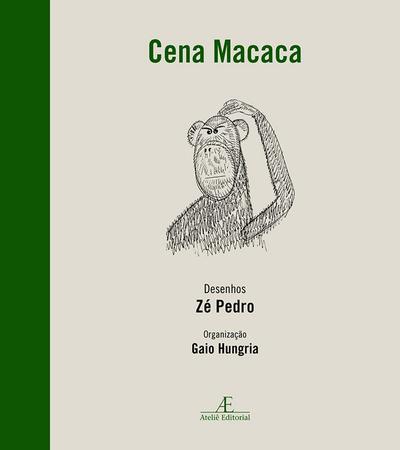 Imagem de Livro - Cena Macaca