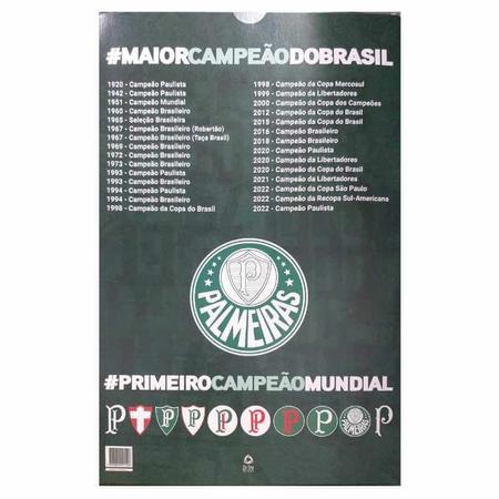 Livro Palmeiras campeão Mundial 1951, Magalu Empresas