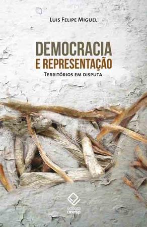Imagem de Livro - Democracia e representação