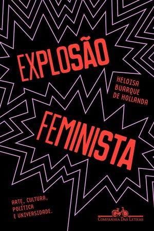 Imagem de Livro - Explosão feminista