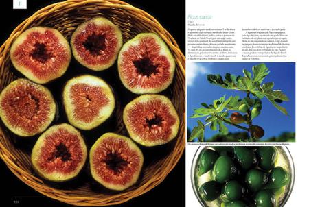 Imagem de Livro - Frutas, Cores e Sabores do Brasil - Volume 1