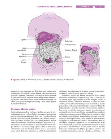 Imagem de Livro - Ginecologia e Obstetrícia